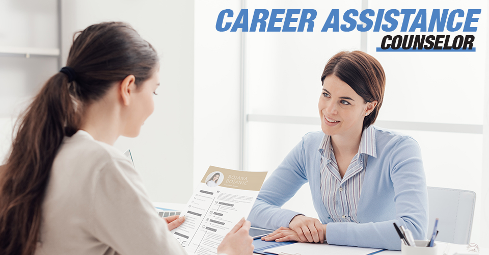 Career Assistance Counselor LINK group
